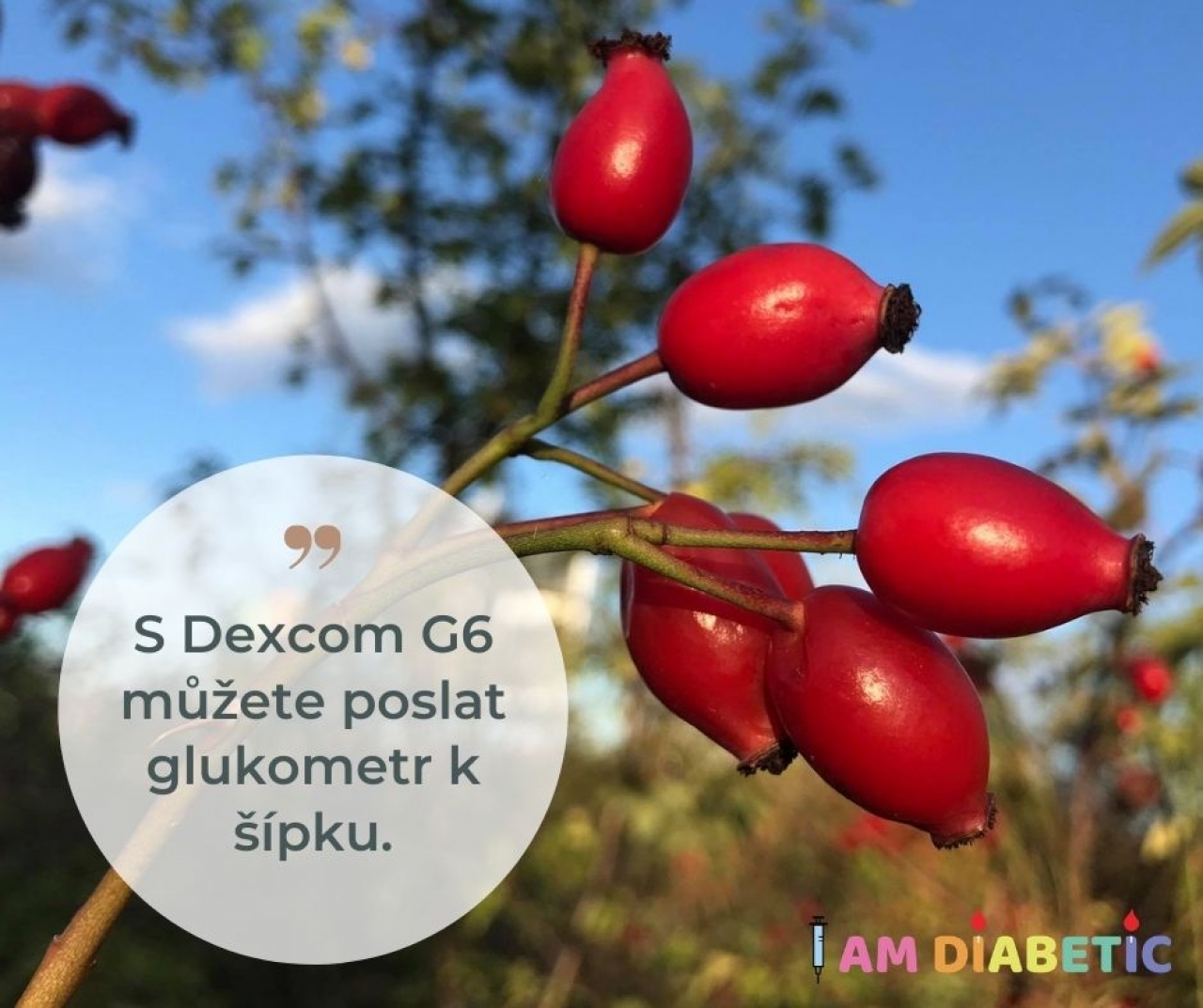 ccb5ad73-s-dexcom-g6-muzete-poslat-glukometr-k-sipku.jpg