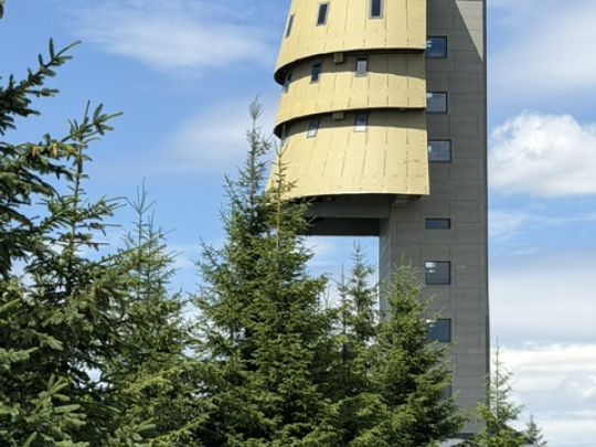 Poledník
