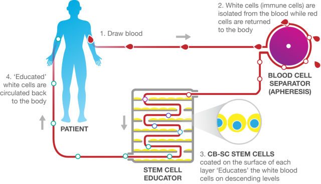 29d34a23-stem-cell-educator-therapy-process-3.png