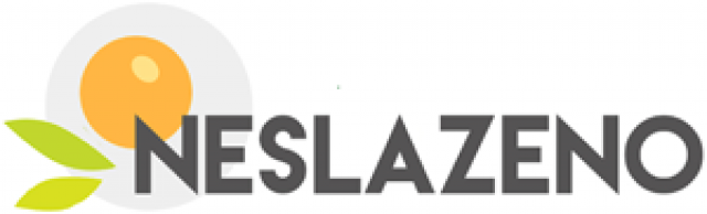 47da1635-neslazeno-logo.png