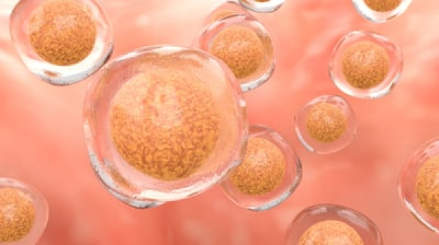 b6550c99-istock-1328146741.jpeg
